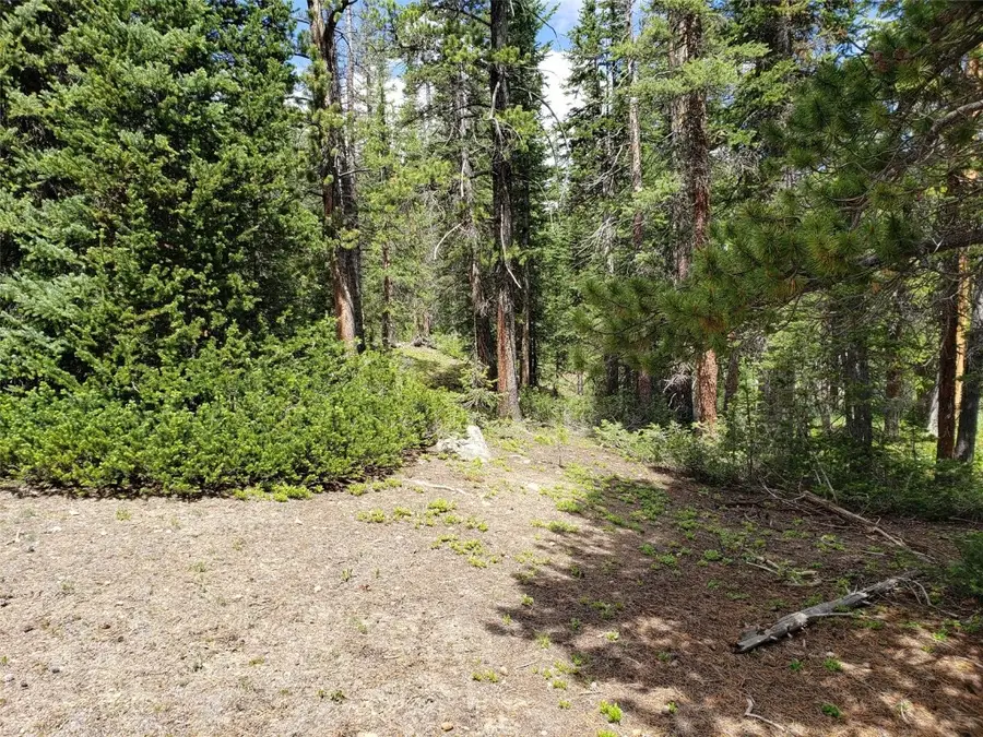 585 Porcupine Road, Fairplay, CO 80440 - #2