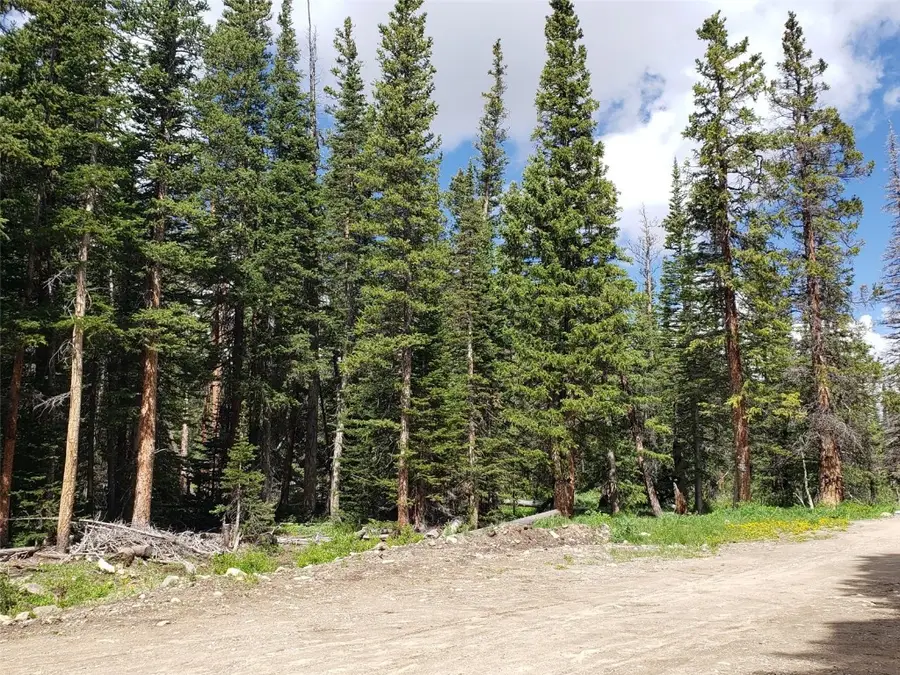 585 Porcupine Road, Fairplay, CO 80440 - #3