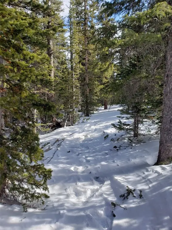 586 El Lobo Lane, Fairplay, CO 80440 - Image #3