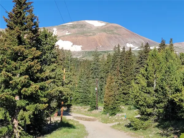 22 Rons Road, Alma, CO 80420