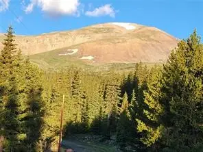 22 Rons Road, Alma, CO 80420 - Image #2