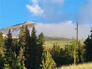 22 Rons Road, Alma, CO 80420 - Image #3