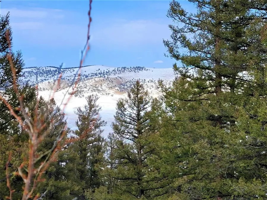 198 Middle Fork Vista, Fairplay, CO 80440 - Image #2