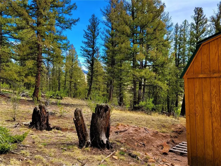 198 Middle Fork Vista, Fairplay, CO 80440 - Image #3