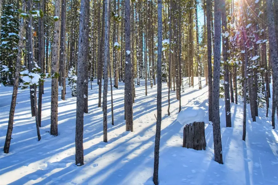 62 Tesemini Lane, Blue River, CO 80424 - Image #3