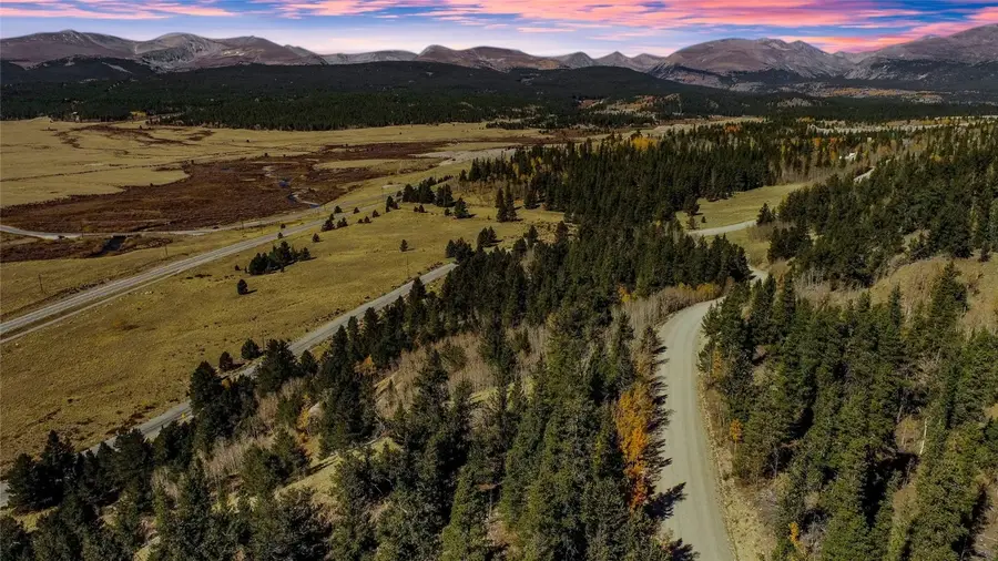 459 Platte River Drive, Fairplay, CO 80440 - Image #3