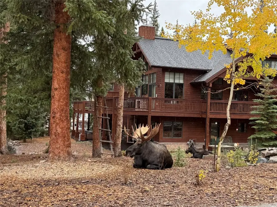 960 Whispering Pines Lane, Breckenridge, CO 80424 - Image #2