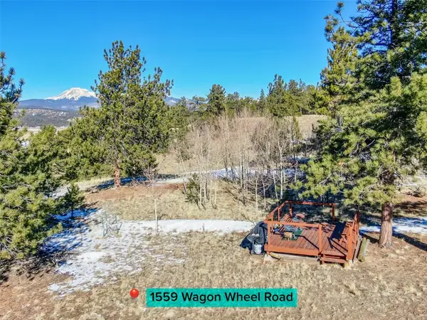 1559 Wagon Wheel Road, Hartsel, CO 80449