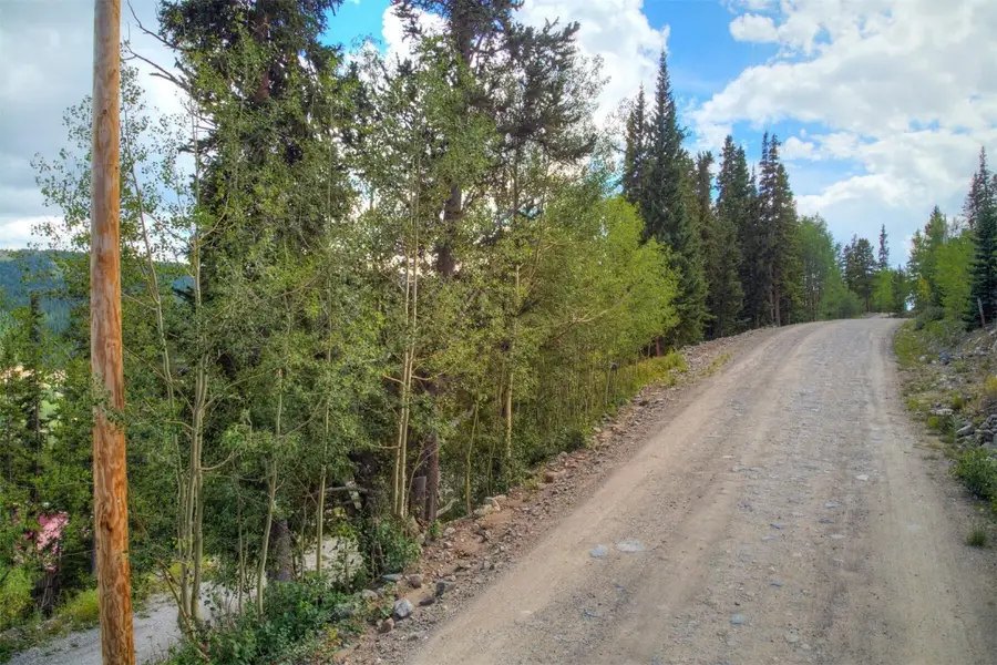 1314 Quartzville Road, Alma, CO 80440 - Image #3