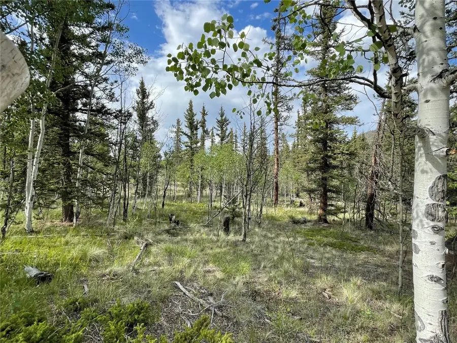 80 Haida Way, Como, CO 80456 - Image #2