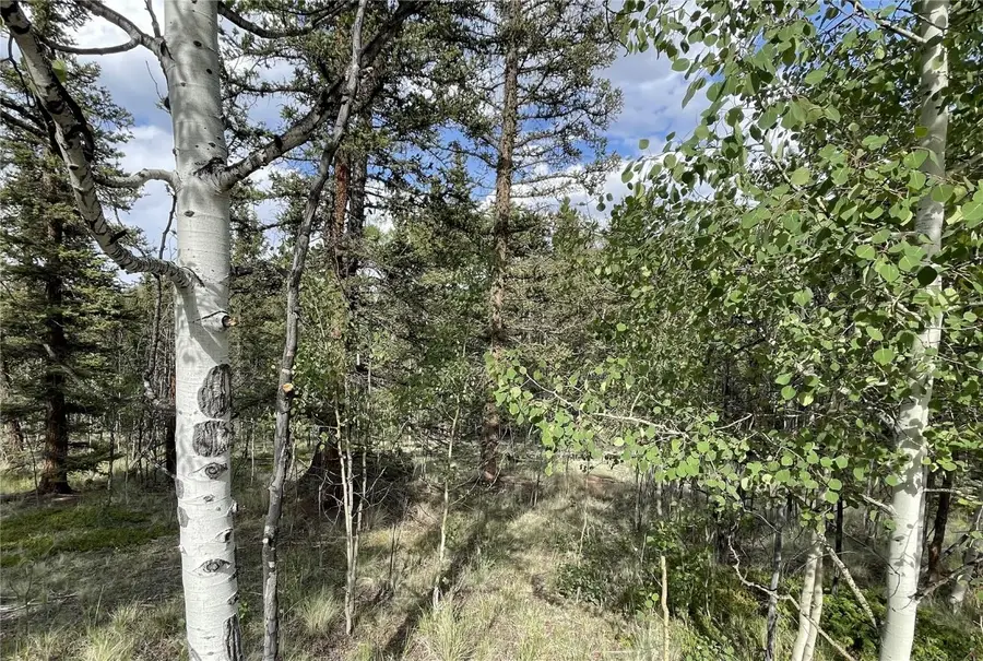 80 Haida Way, Como, CO 80456 - Image #3