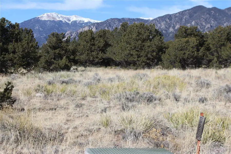 3233 Camino Del Rey, Crestone, CO 81131 - #3