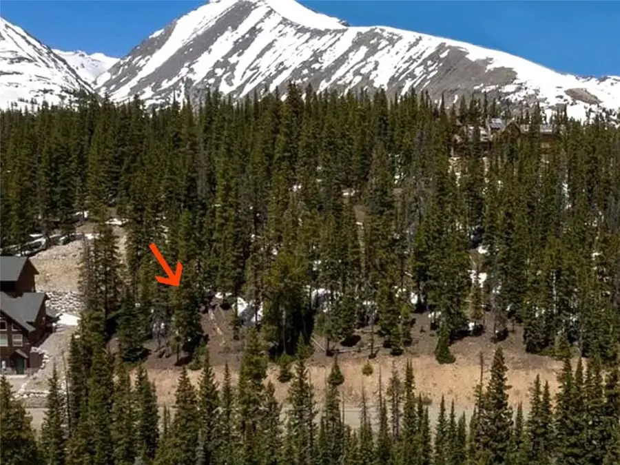 281 Kimmes Lane, Breckenridge, CO 80424 - #2