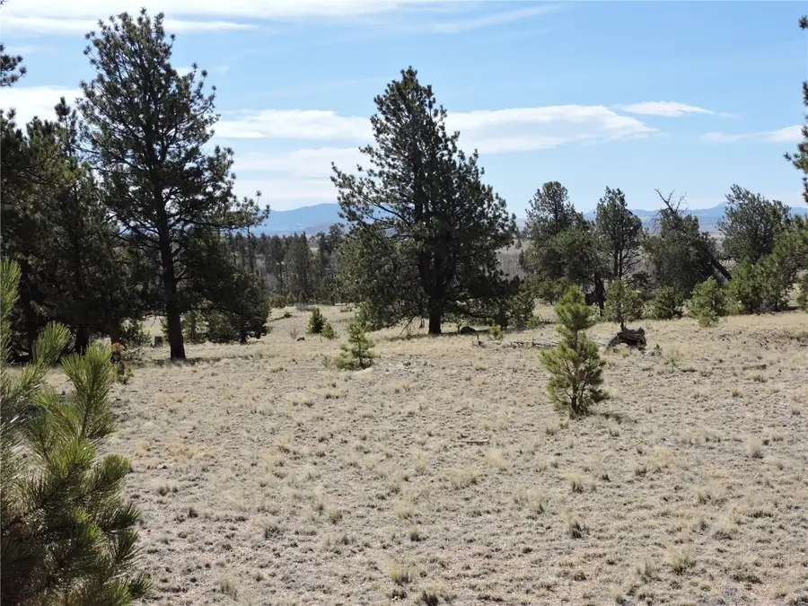 237 Rocky Mountain Court, Hartsel, CO 80449 - Image #2