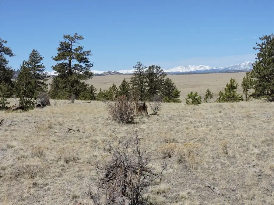 237 Rocky Mountain Court, Hartsel, CO 80449 - Image #3