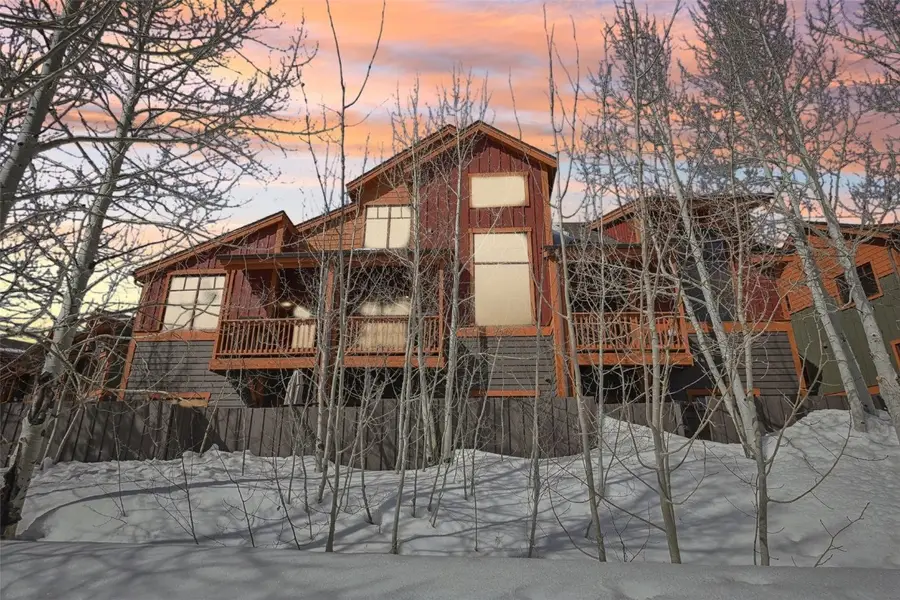 0050 County Road 1293 #B, Silverthorne, CO 80498 - Image #2