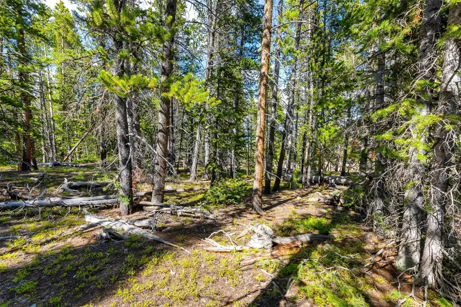 440 Gold Trail Circle, Fairplay, CO 80440 - #2