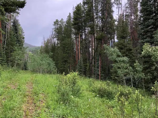 TBD Springboard Trail, Oak Creek, CO 80467