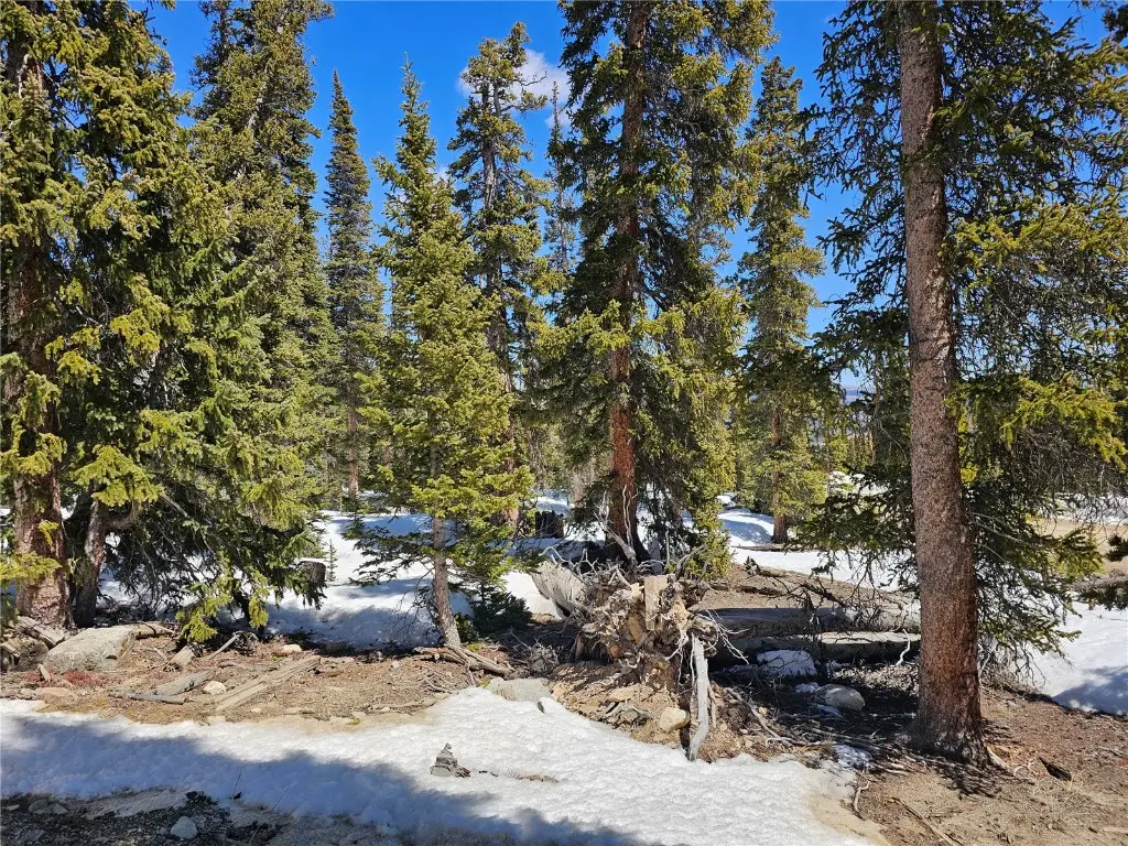 135 Valley Of The Sun Drive, Fairplay, CO 80440 - #1