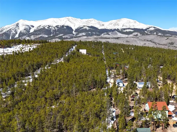 1033 Sequoia Drive, Leadville, CO 80461