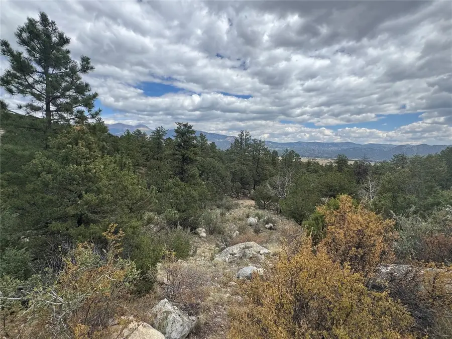 30110 Princeton, Buena Vista, CO 81211 - #3