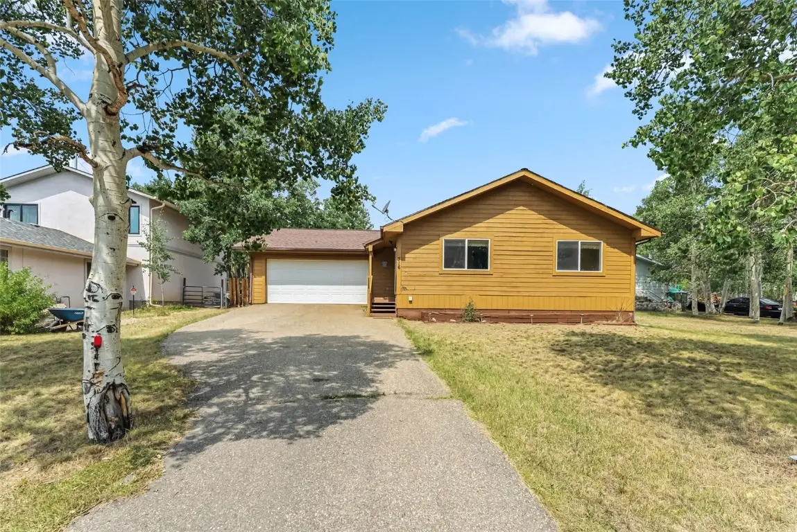 316 3rd Street, Fairplay, CO 80440 - #1