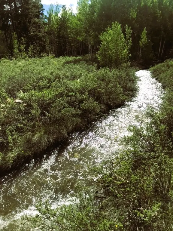 162 Thickspike Road, Fairplay, CO 80440 - Image #3