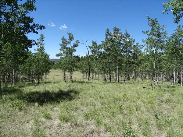 782 Bowstring Road, Como, CO 80432