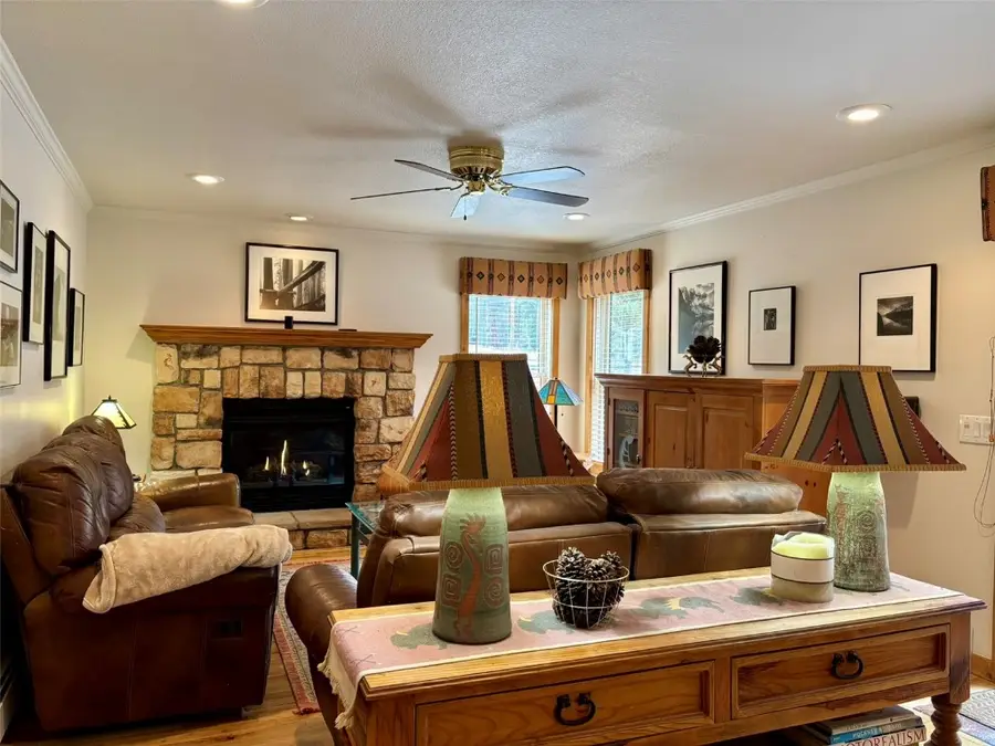 112 Grey Squirrel Lane, Blue River, CO 80424 - Image #3