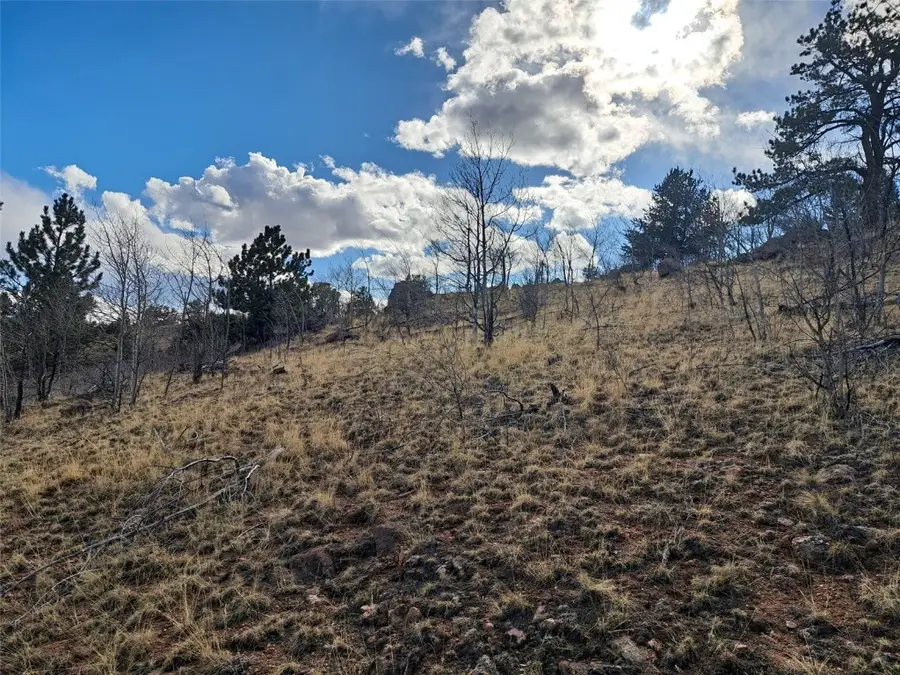 908 Raven Way, Como, CO 80432 - #3