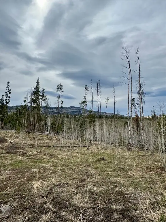 TBD Rein Way, Oak Creek, CO 80467 - Image #2