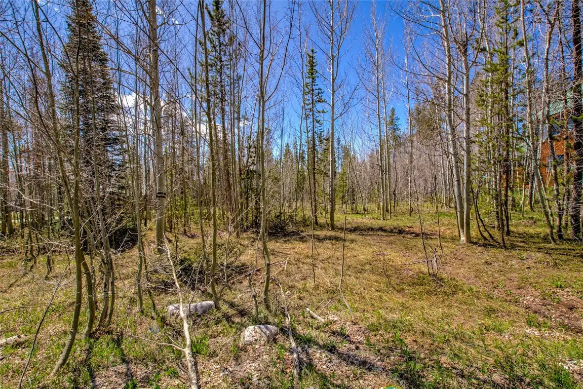 516 Royal Red Bird Drive, Silverthorne, CO 80498 - Image #1