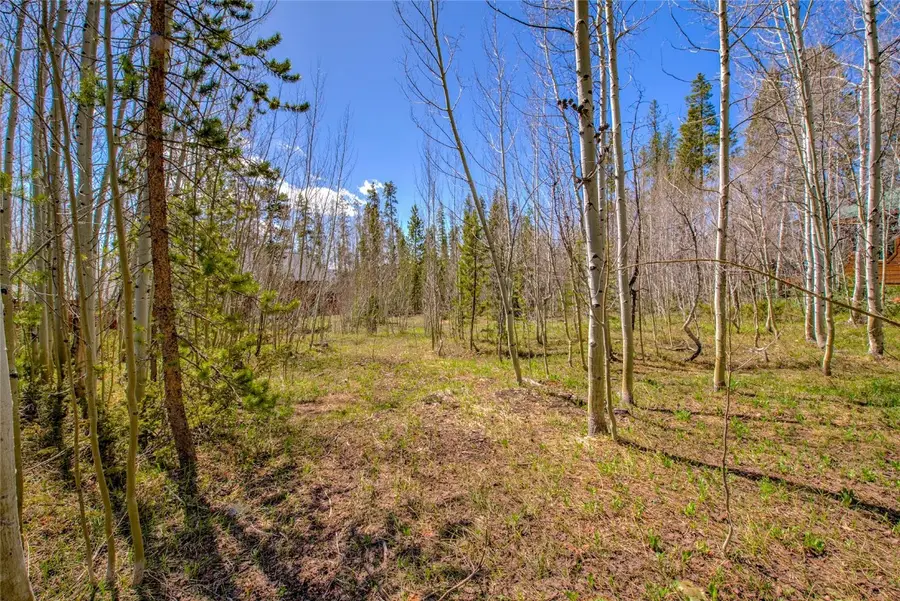 516 Royal Red Bird Drive, Silverthorne, CO 80498 - Image #2