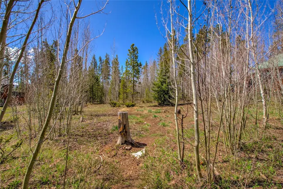 516 Royal Red Bird Drive, Silverthorne, CO 80498 - Image #3