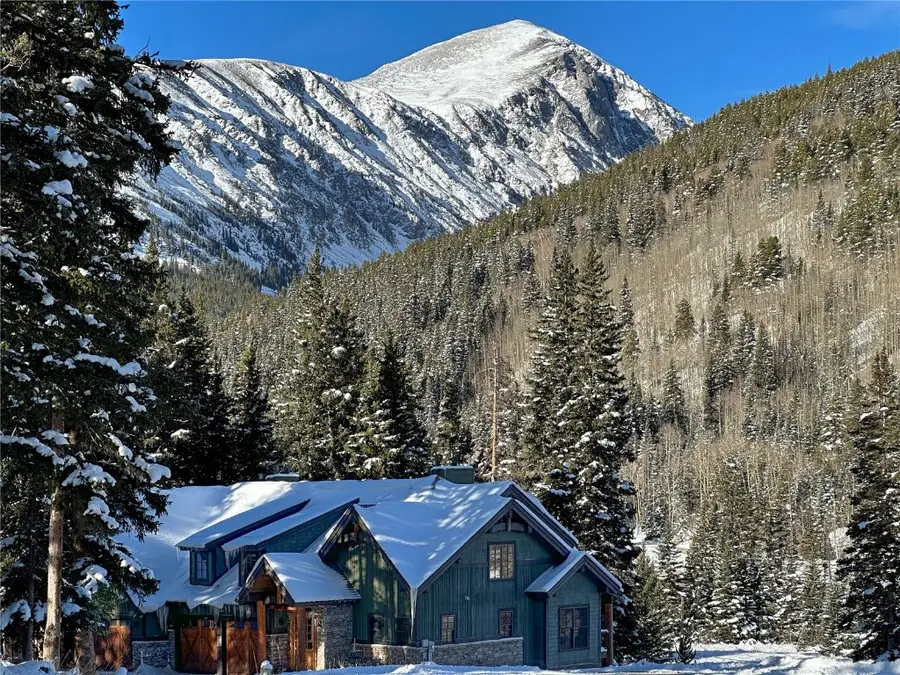 50 Cooney Court, Blue River, CO 80424 - Image #2