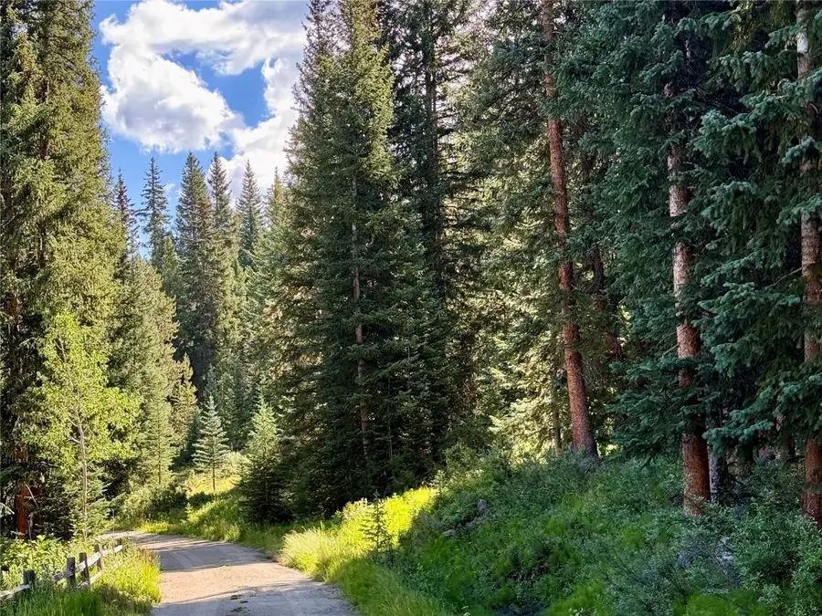 3362 Boreas Pass Road, Breckenridge, CO 80424 - Image #2