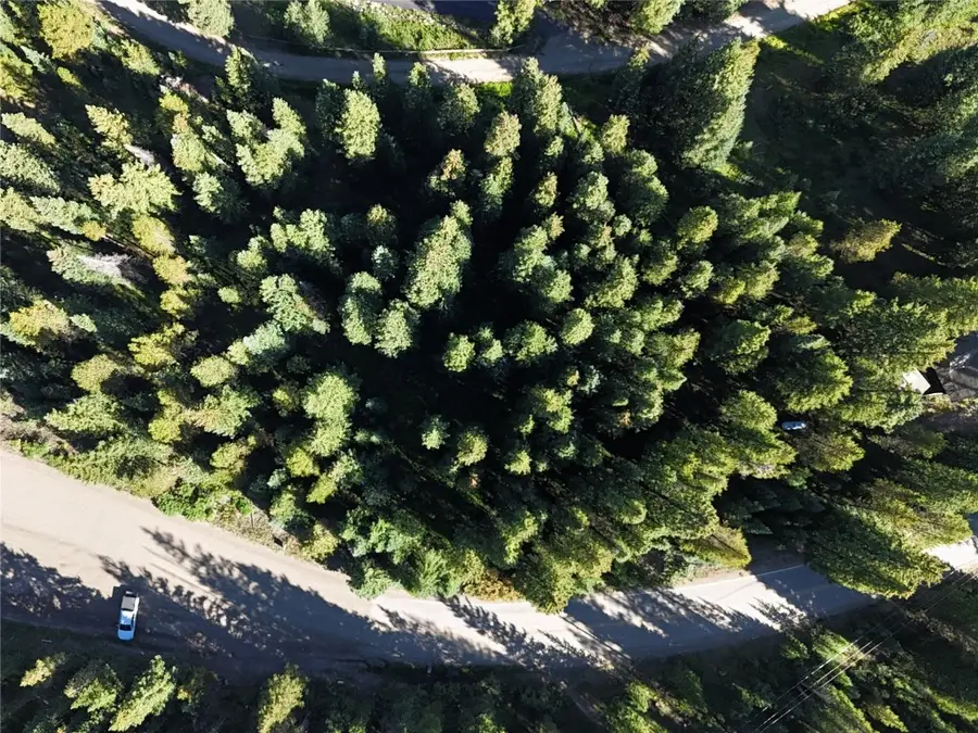 3362 Boreas Pass Road, Breckenridge, CO 80424 - Image #3