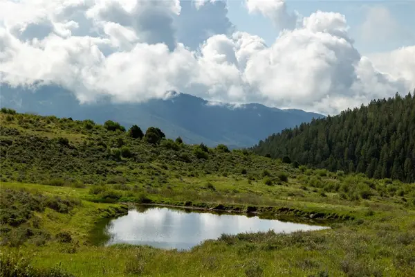 8034 State Highway 131, Toponas, CO 80479