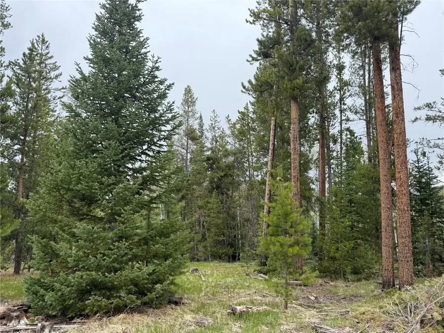 33435 Filly Trail, Oak Creek, CO 80467 - Image #2