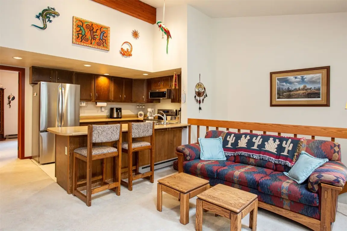 324 W Main Street #324, Frisco, CO 80443 - Image #1