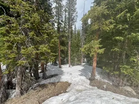 584 Camron Lane, Breckenridge, CO 80424 - #3