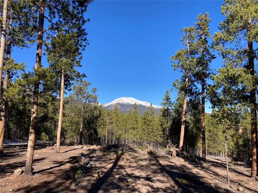 758 Spruce Drive, Twin Lakes, CO 81251 - #2