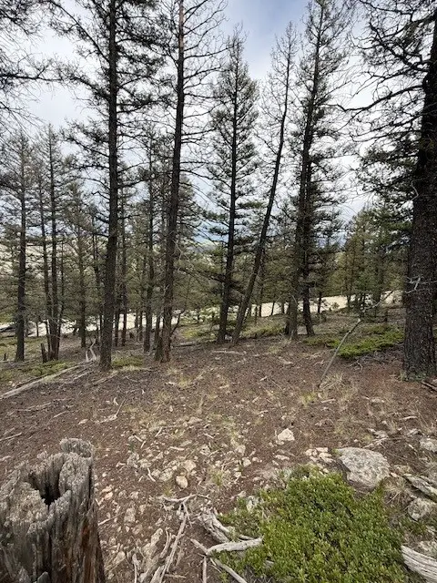 2689 Redhill Road, Fairplay, CO 80440 - #2