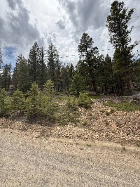 2689 Redhill Road, Fairplay, CO 80440 - #3