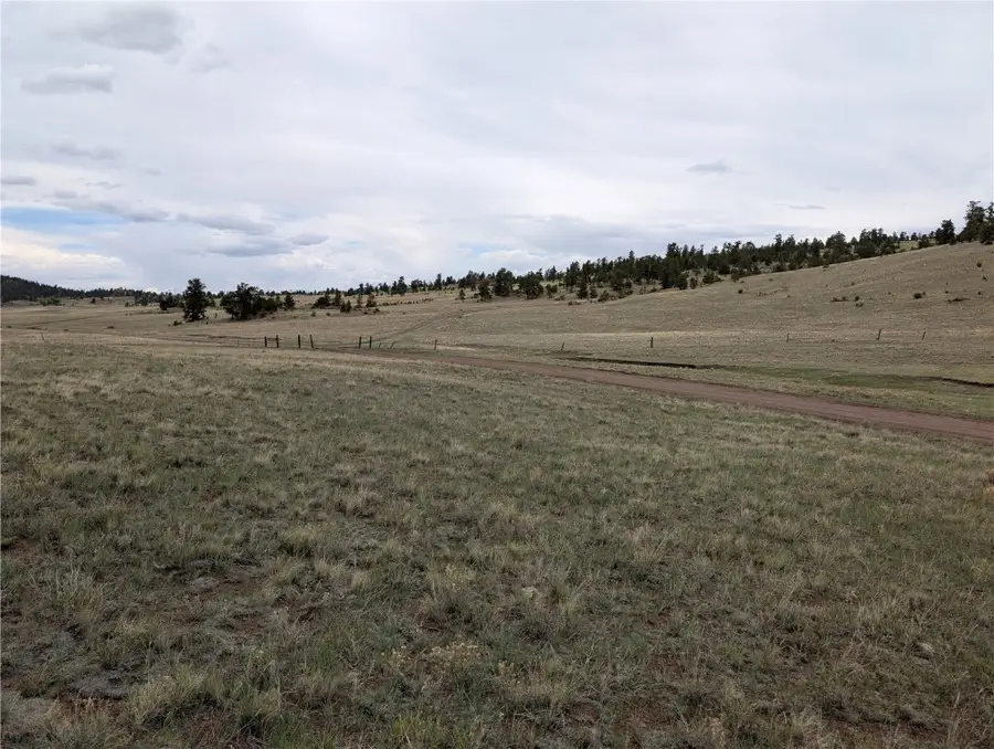 246 Hopi Trail, Hartsel, CO 80449 - Image #3