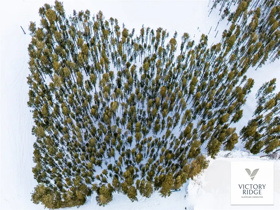 14 Legacy Way, Breckenridge, CO 80424 - #3