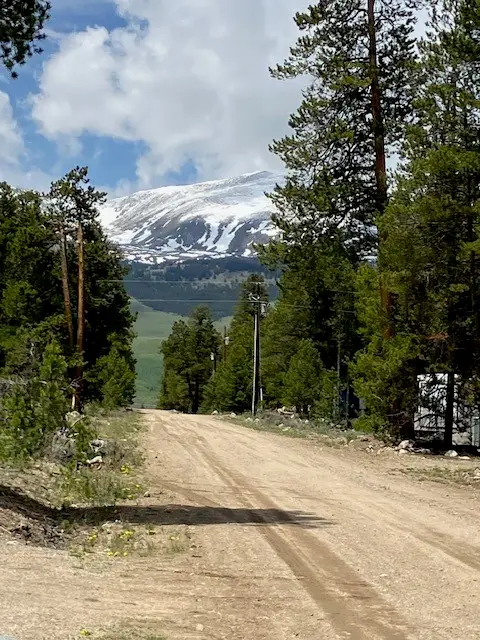 493 & 511 Spruce Drive, Twin Lakes, CO 81251 - Image #3