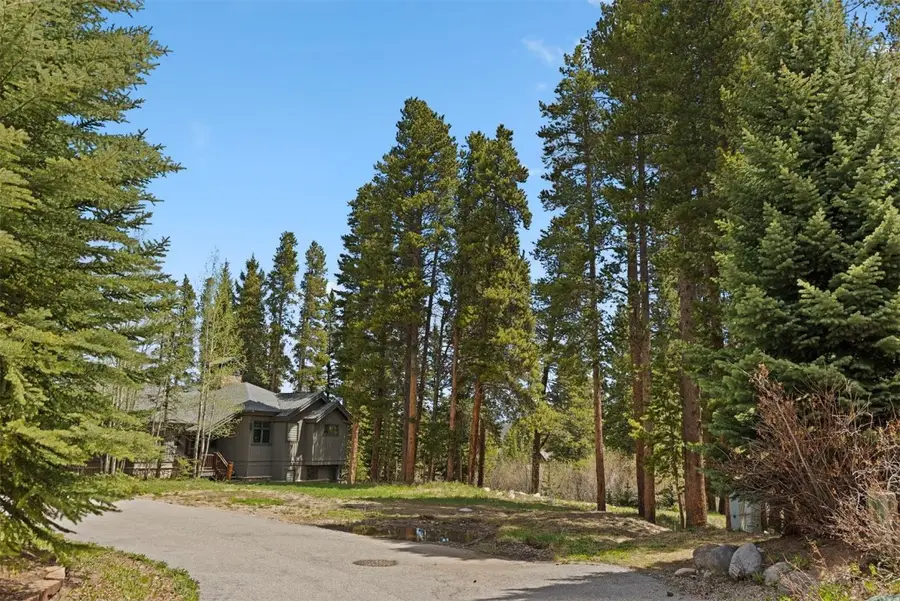 28 Tall Pines Drive, Breckenridge, CO 80424 - #3
