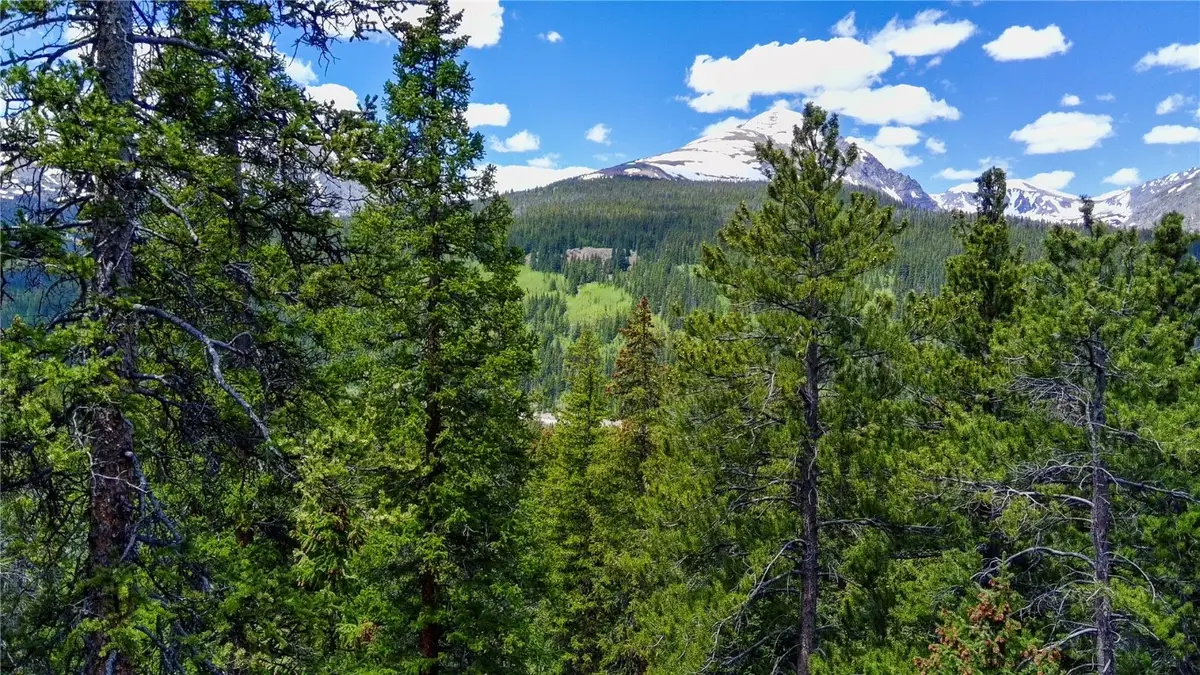 1013 Range Road, Breckenridge, CO 80424 - Image #1