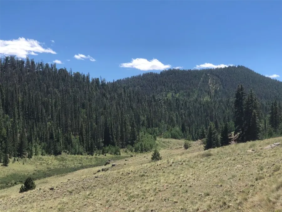 1135 Swiggler Road, Jefferson, CO 80456 - #2